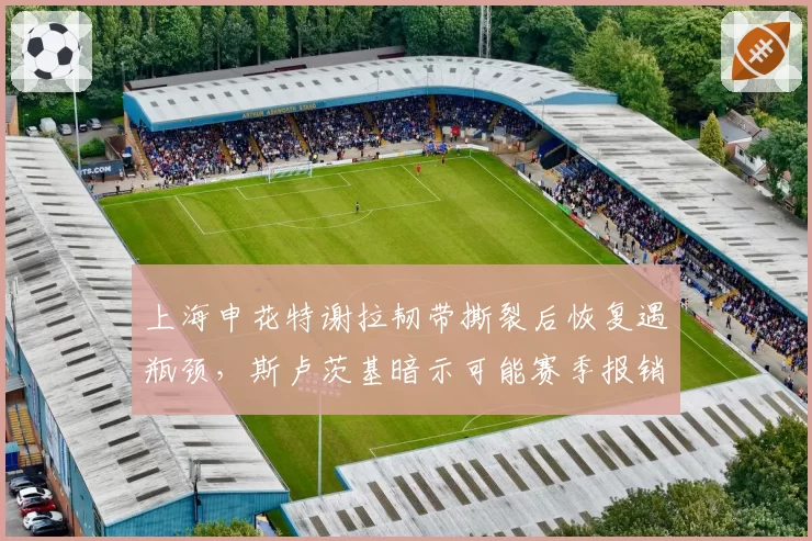 上海申花特谢拉韧带撕裂后恢复遇瓶颈，斯卢茨基暗示可能赛季报销