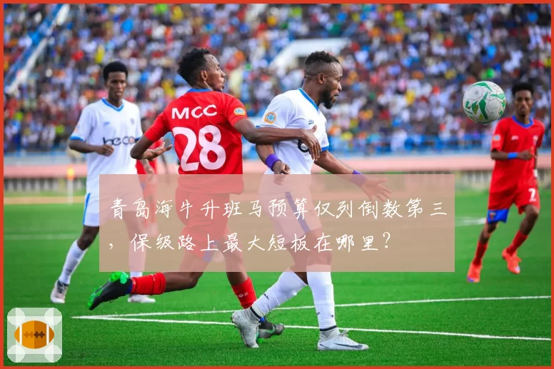 青岛海牛升班马预算仅列倒数第三，保级路上最大短板在哪里？