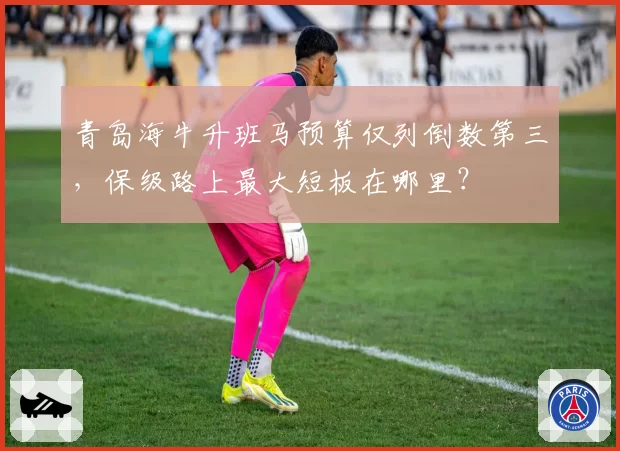 青岛海牛升班马预算仅列倒数第三，保级路上最大短板在哪里？