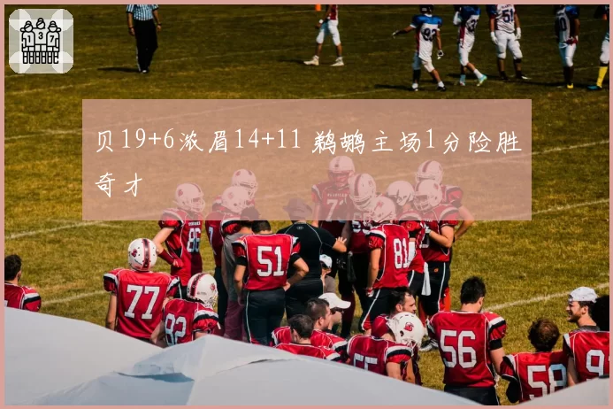贝19+6浓眉14+11 鹈鹕主场1分险胜奇才