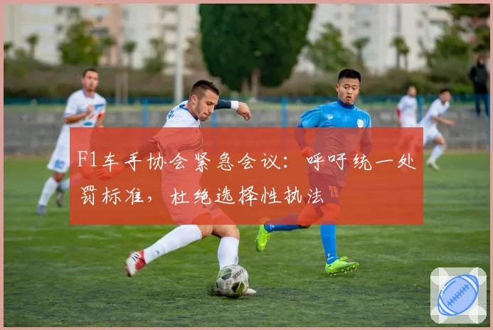 F1车手协会紧急会议:呼吁统一处罚标准,杜绝选择性执法